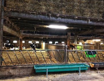 Diagonal Spinder Feed Fence