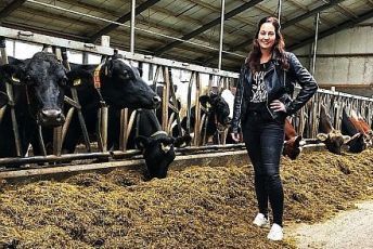 Farmer from Reitsum decides for Spinder Barn equipment