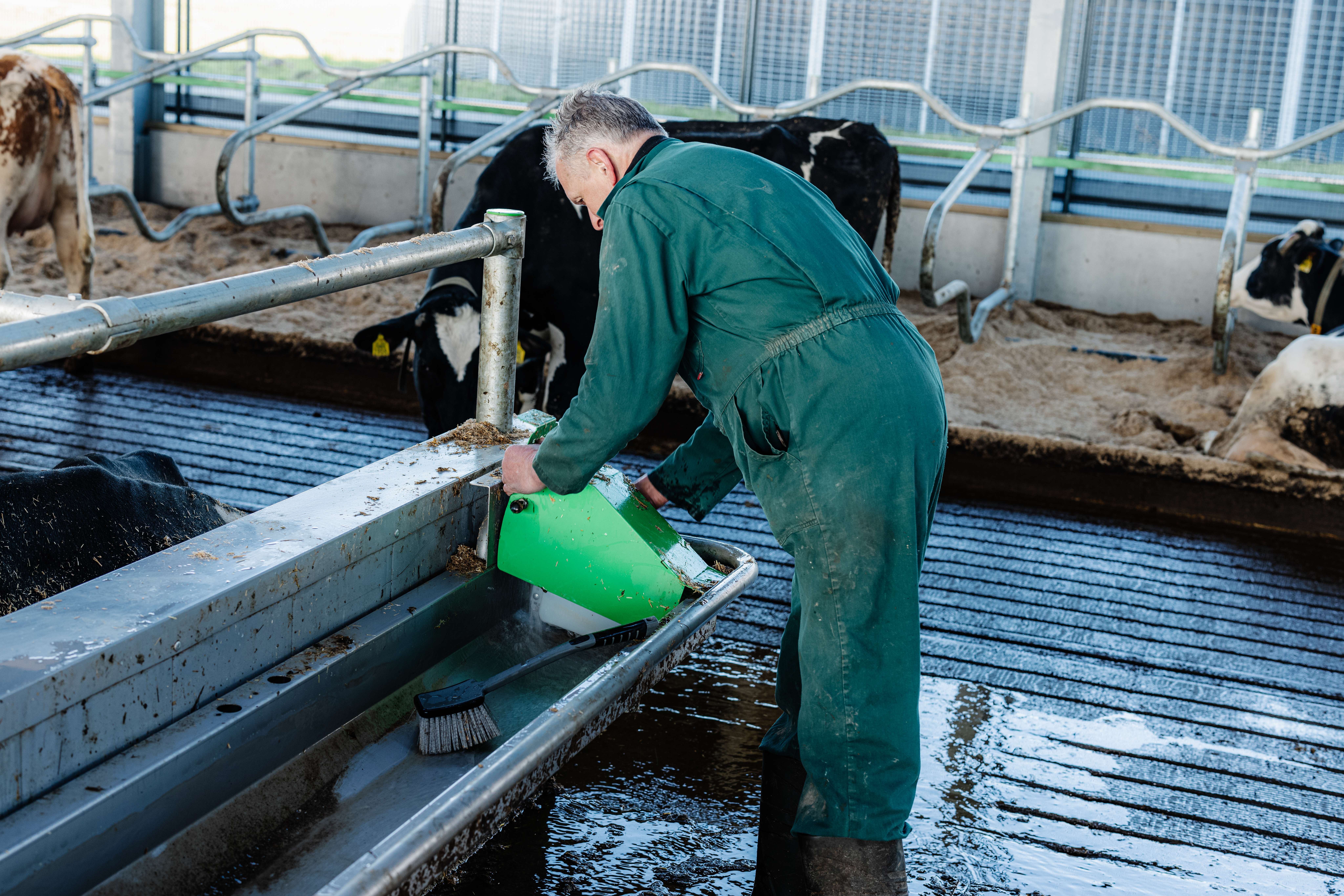 Cleaning Pingo drinking troughs