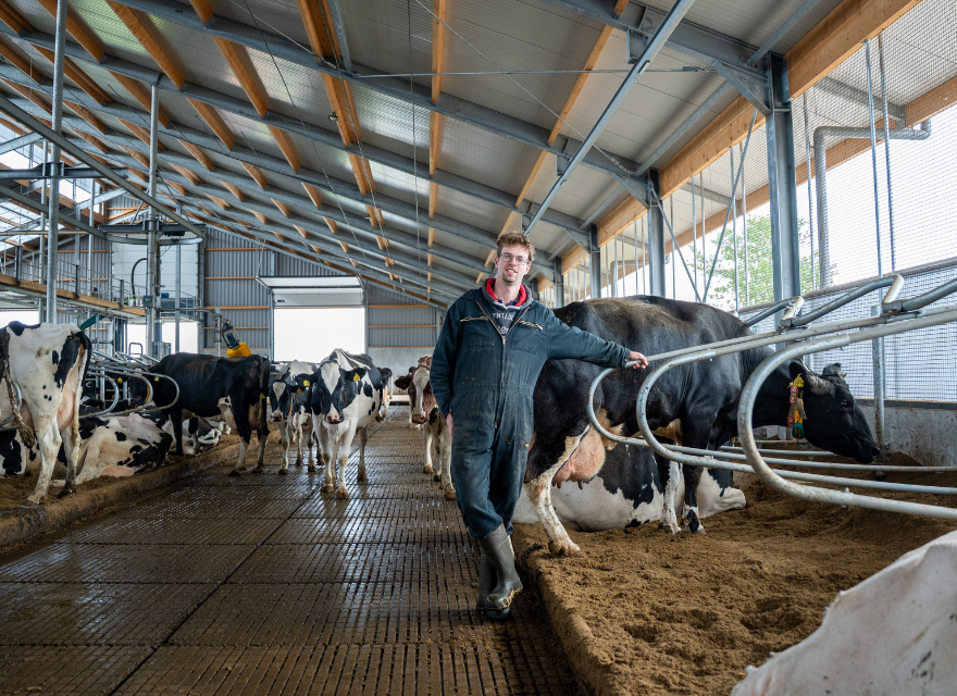 Dairy farm Simmes Dairy farm Simmes