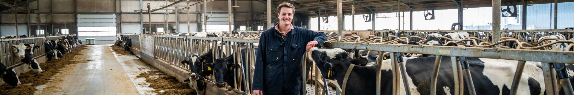 Working efficiently at dairy farm Van der Wal in Boornbergum