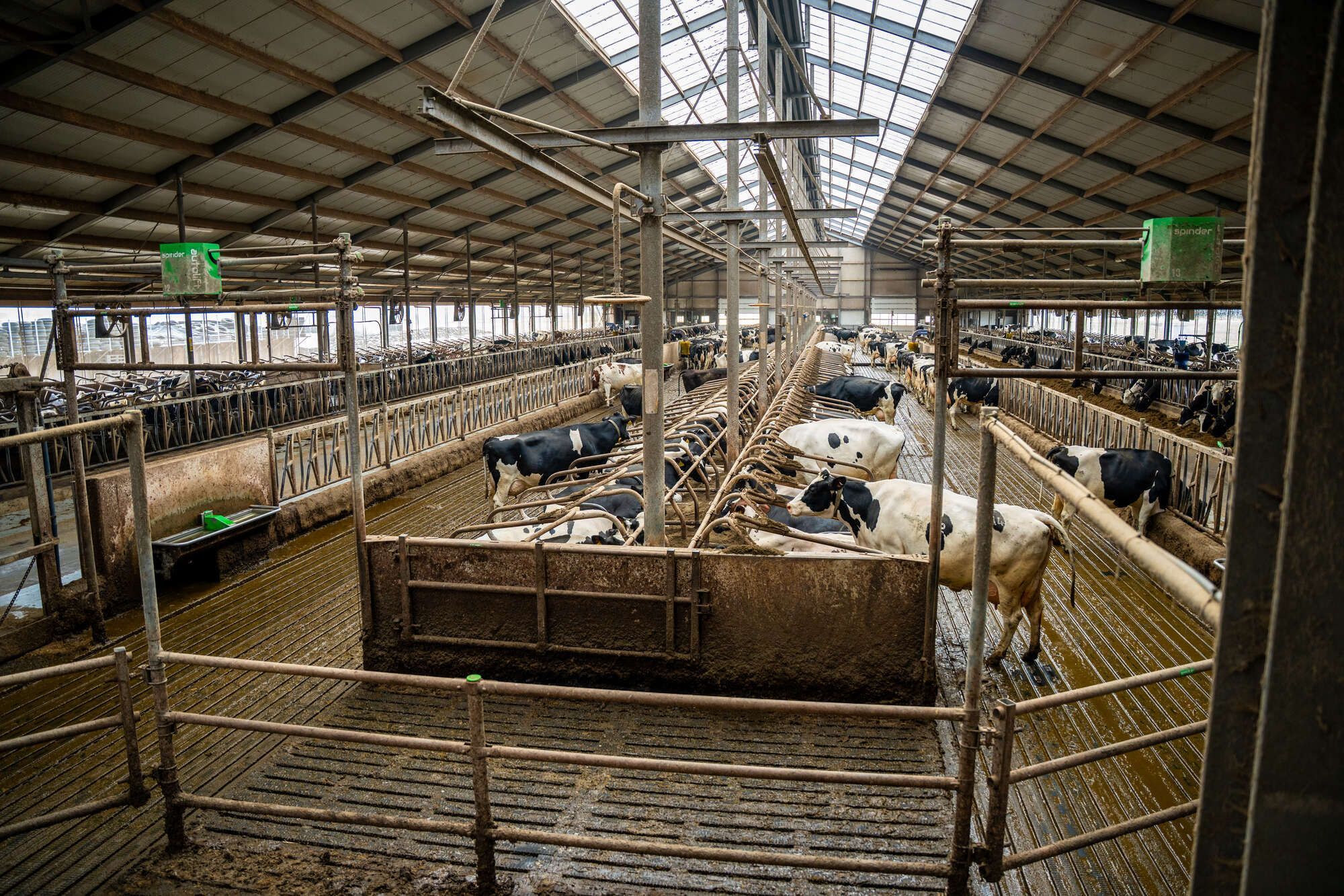 Autolifts in the barn